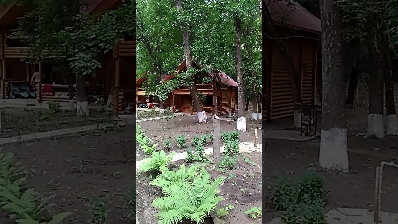 Астаховская долина луганская область база отдыха Астаховская долина луганская область база отдыха